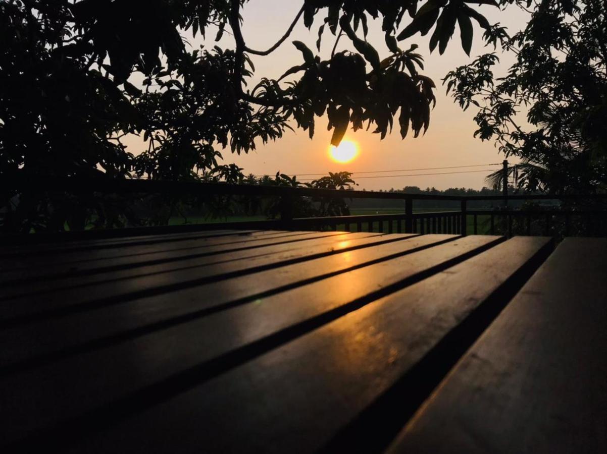 Village Mango Resort Yala Тиссамахарама Экстерьер фото