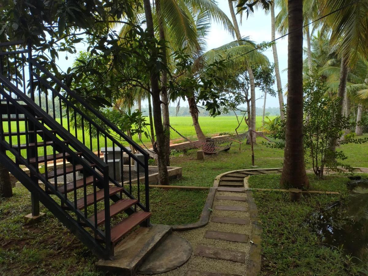 Village Mango Resort Yala Тиссамахарама Экстерьер фото