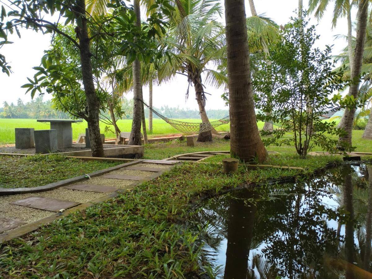 Village Mango Resort Yala Тиссамахарама Экстерьер фото