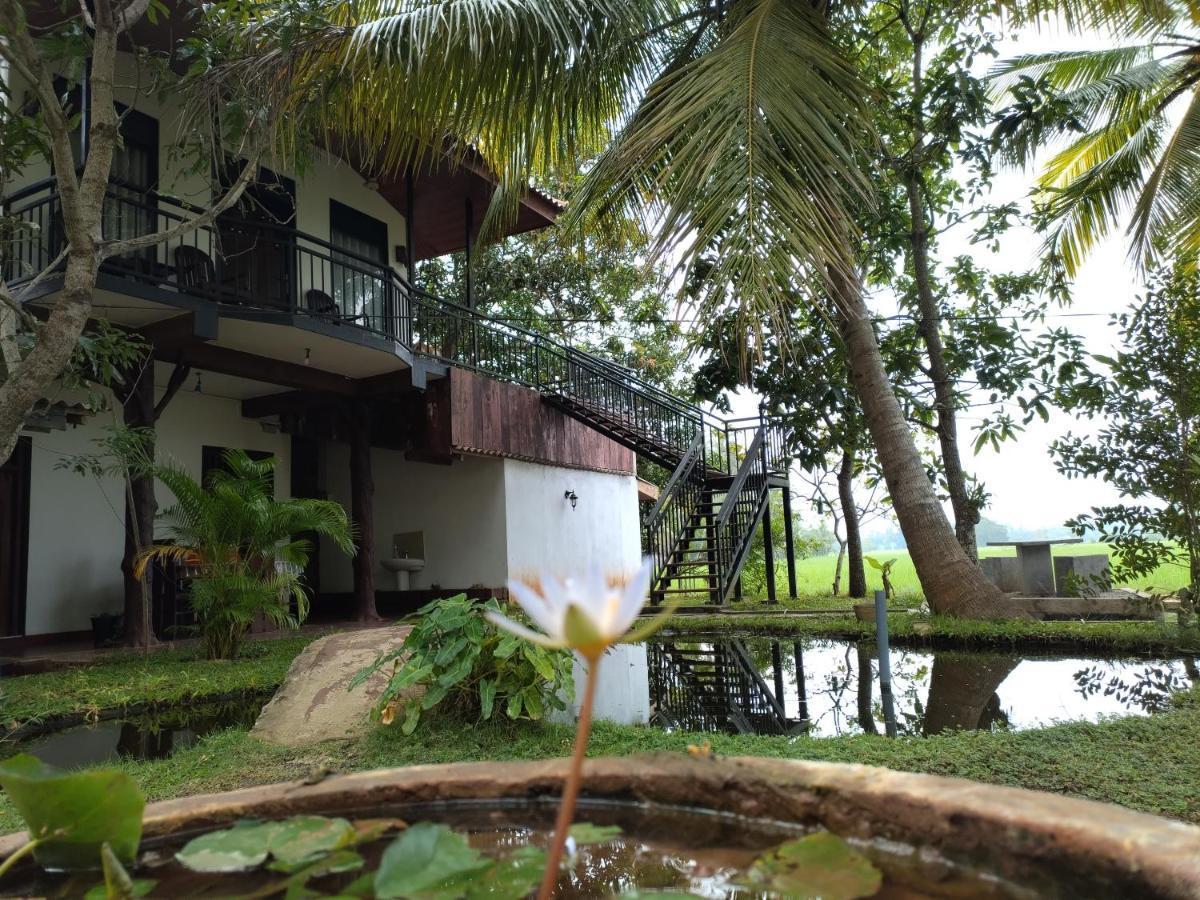 Village Mango Resort Yala Тиссамахарама Экстерьер фото