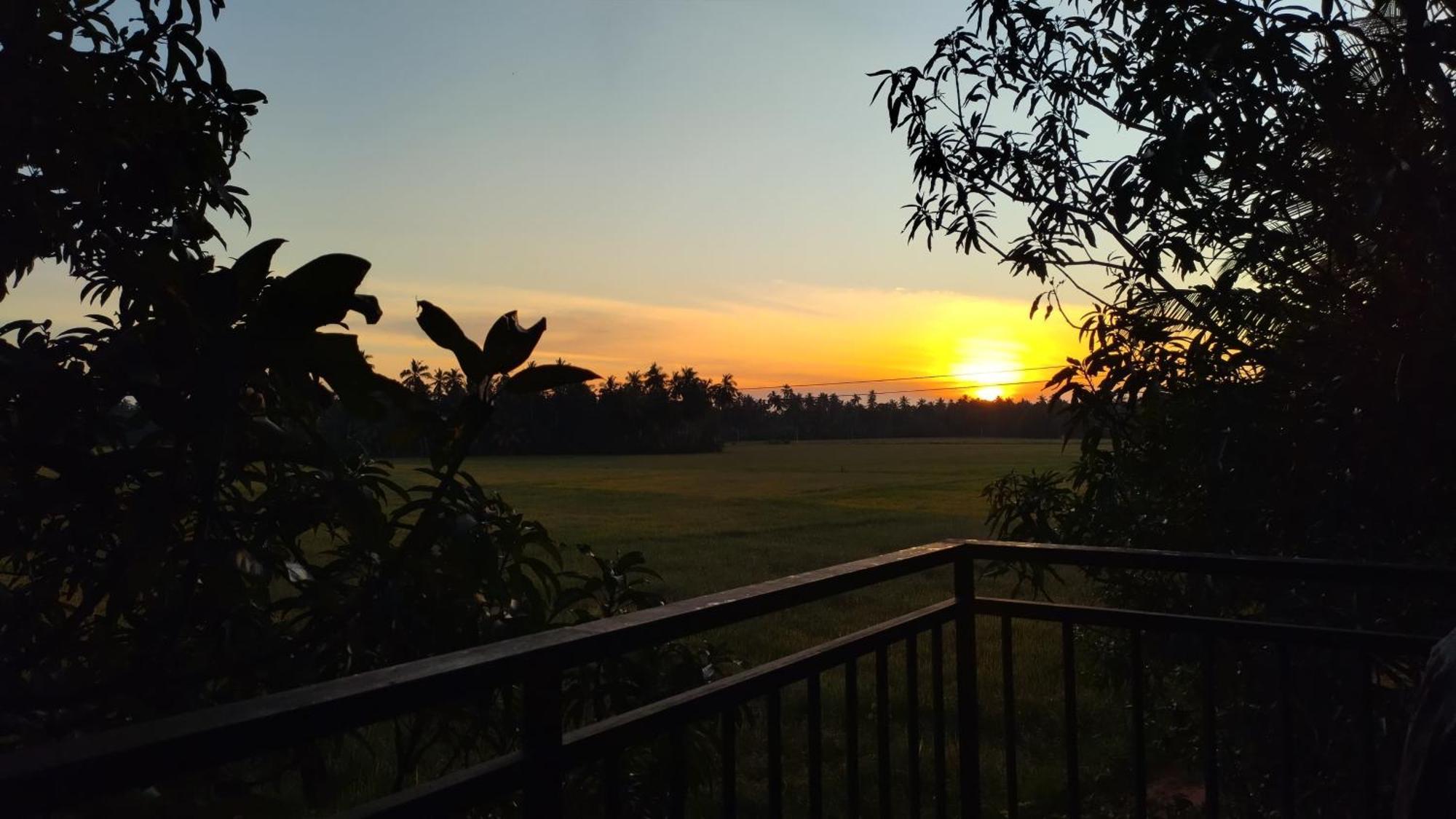 Village Mango Resort Yala Тиссамахарама Экстерьер фото